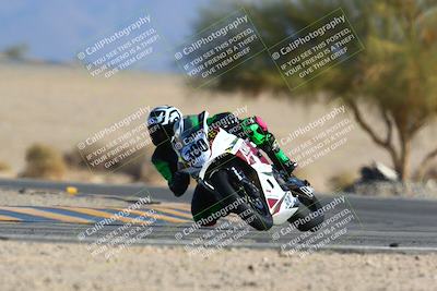 media/Jan-14-2024-SoCal Trackdays (Sun) [[2e55ec21a6]]/Turn 4 Tree of Life (155pm)/